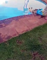 공인회계사합격증위조  카톡 ID best3838 /졸업증명서위조 /고등학교졸업증명서위조 /대학교졸업증명서위조  광고글삭제후에도365일실시간문의가능