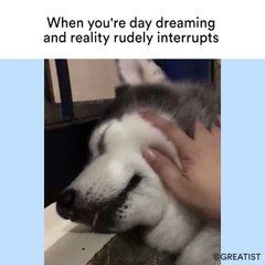 When you're daydreaming and reality rudely interrupts