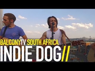 INDIE DOG - ODE TO A FRIEND NO LONGER (BalconyTV)