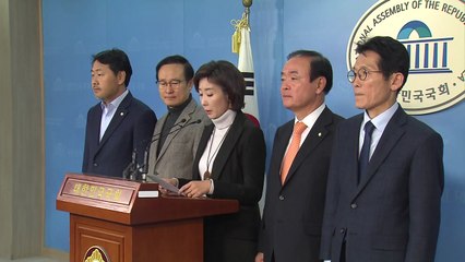 여야 '선거제 개편' 큰 틀 합의..."연동형 비례대표제 구체 방안 검토" / YTN