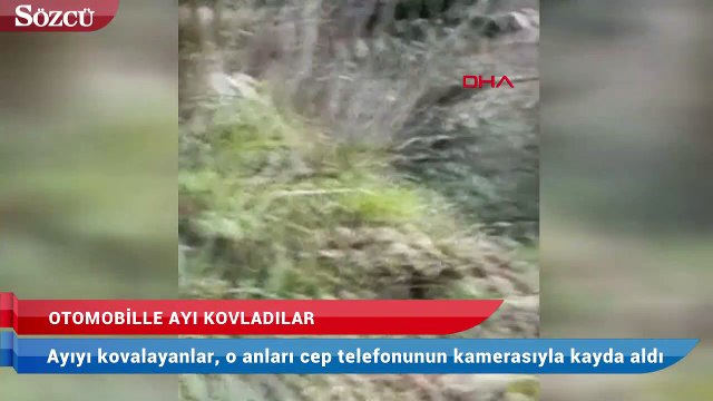 Otomobille ayı kovaladılar, videoya çektiler
