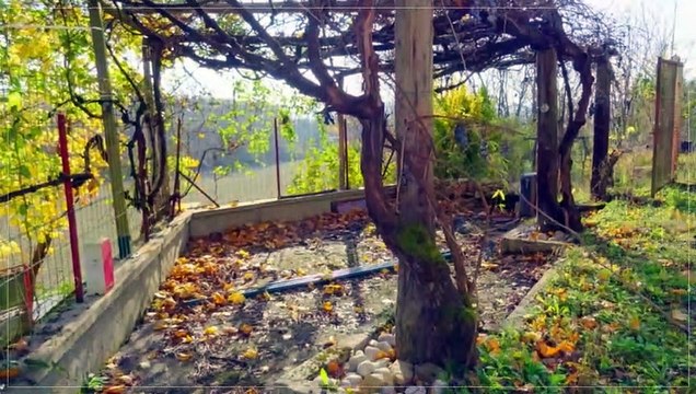 A vendre - Maison/villa - SERPAIZE (38200) - 4 pièces - 115m²