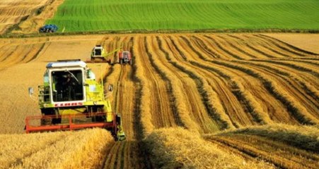 Bakan'dan Çiftçileri Sevindiren Açıklama: 2019'da Tarımsal Destek 1,6 Milyar Lira Artırılacak