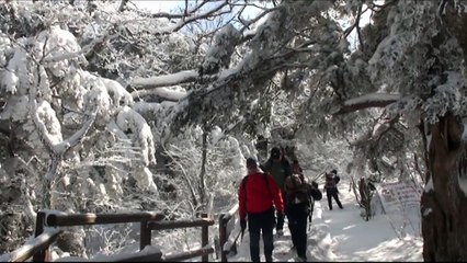 한 달 만에 다시 열린 국립공원 탐방로...설산 탐방도 가능 / YTN