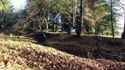 Kahramanmaraş’ta 2018 yılında 10,5 milyon fidan toprakla buluşturuldu