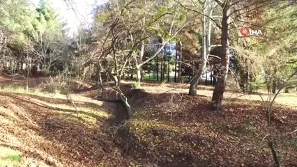 Kahramanmaraş'ta 2018 Yılında 10,5 Milyon Fidan Toprakla Buluşturuldu