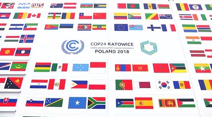 Cop24: firmato il documento finale, delusi gli ambientalisti