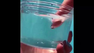 Satisfying Slime Videos!