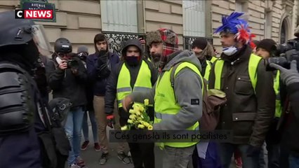 Fleurs à la main, un gilet jaune fait la leçon aux forces de l’ordre et compare la mobilisation à un tsunami
