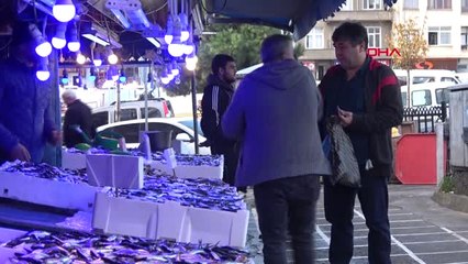 Trabzon Karadeniz'de Hamsi Bolluğu