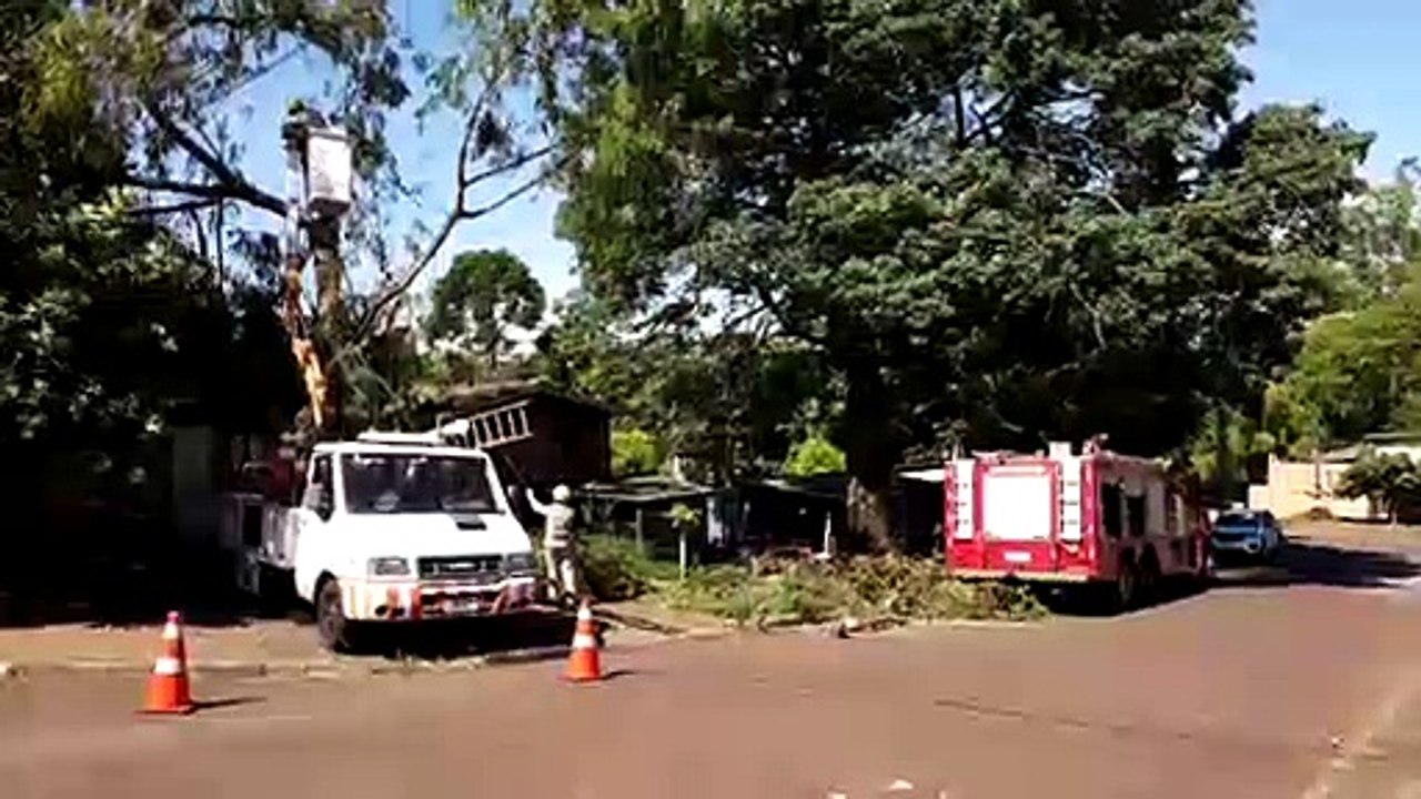 Bombeiros realizam corte de galhos com apoio da Copel