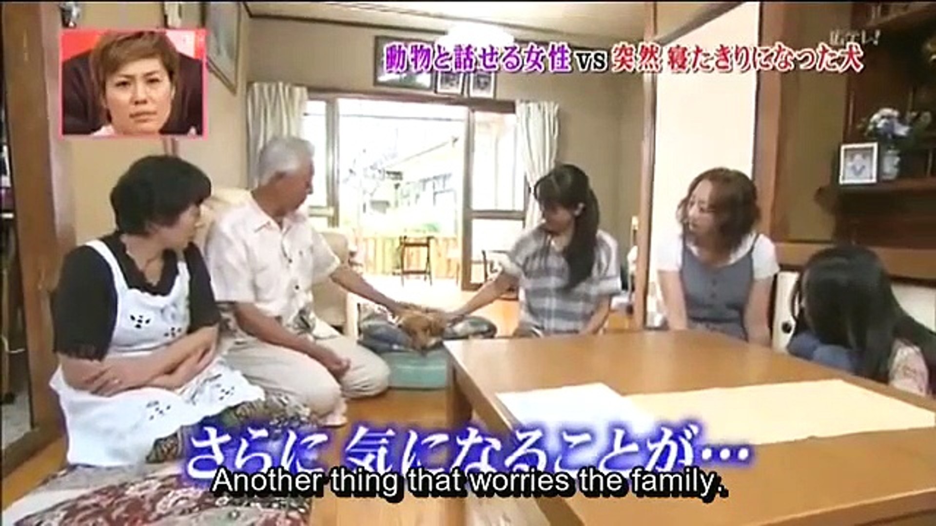 Eng Sub Animal Communicator Heidi Talks To A Bedridden Dog 1 Video Dailymotion