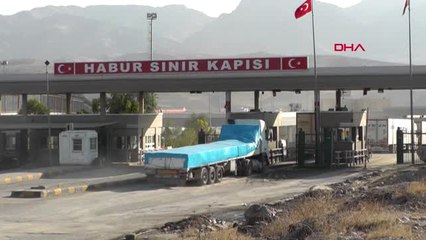 Şırnak 1,5 Milyon Lira Ödülle Aranan Deaş'lı Teslim Oldu