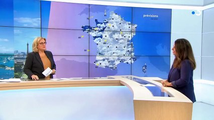 "Gilets jaunes" : moins de gardes à vue à Paris pour l'"acte 5" de la mobilisation