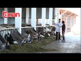 Histori shqiptare nga Alma Çupi - Natyral, i vetmi produkt organik ne Shqiperi! (15 dhjetor 2018)