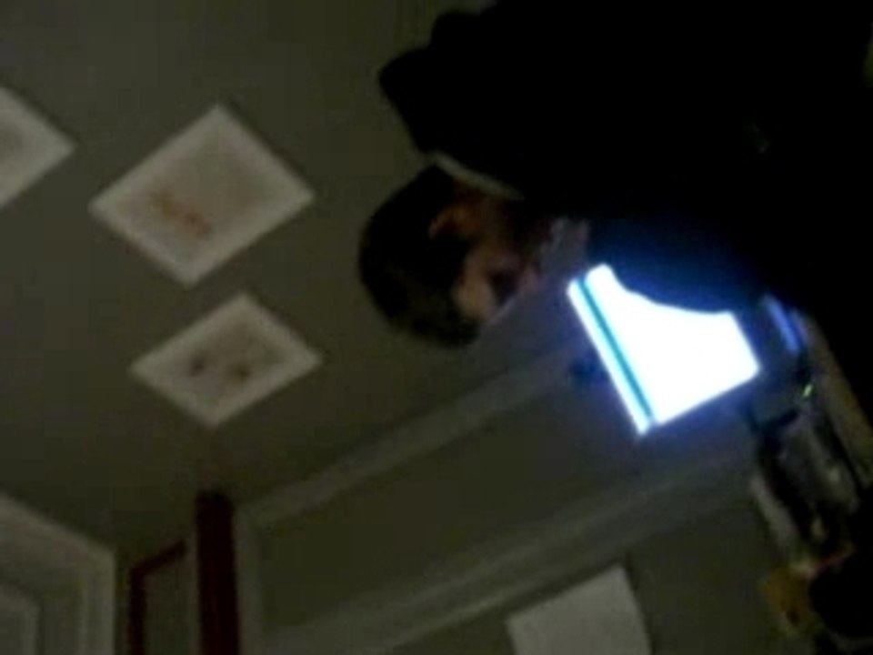 La puta