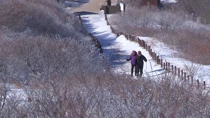 강원도 국립공원 고지대 탐방로 내일부터 개방 / YTN
