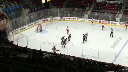 Charlotte Checkers 3 Hartford Wolf Pack 2 FINAL