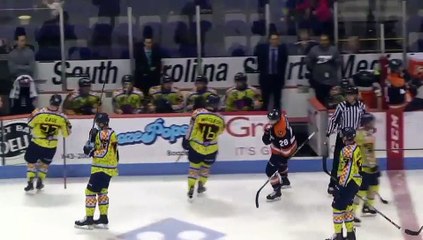 ECHL Greenville Swamp Rabbits 2 at South Carolina Stingrays 6