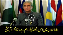Peace in Afghanistan important for stability in Pakistan; Shah Mehmood Qureshi