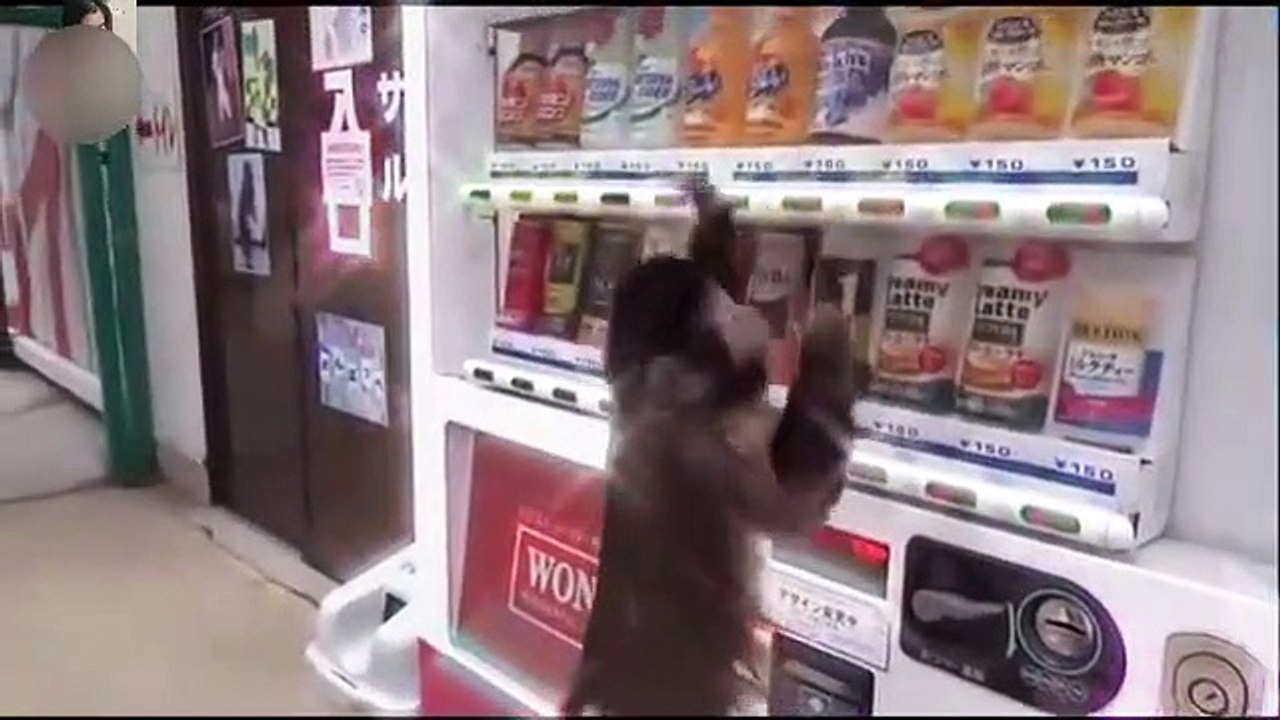 Funny video ever.