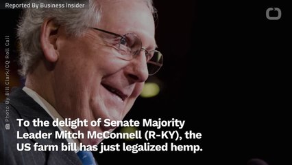 Hemp Hemp Hooray! US Farm Bill Legalizes Cultivation Of Marijuana's 'Cousin'