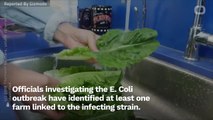 California Farm Linked To Romaine Lettuce E. Coli Outbreak That Has Sickened 59