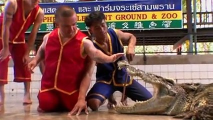 Wildboyz S04 E02