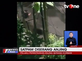 Detik-detik Pemilik Suruh Anjingnya Serang Orang
