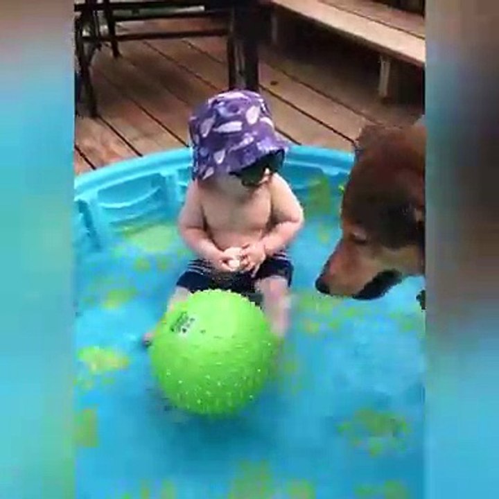 Funny game of pet with cute child baby in home