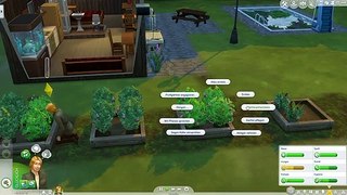 ASMR - Sims 4 - Robinson-Challenge #26 - deutsch - Magischer Baum