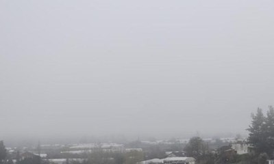 Ekmeğini sisten kazanıyor