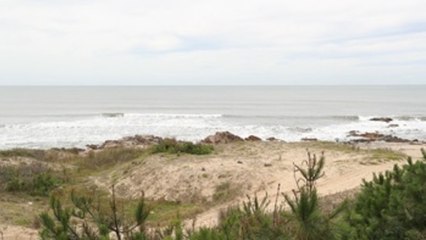 Naturaleza y gastronomía, las cartas fuertes para el turismo en Rocha