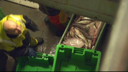 Brexit fishing rights: Questions about North Sea ownership