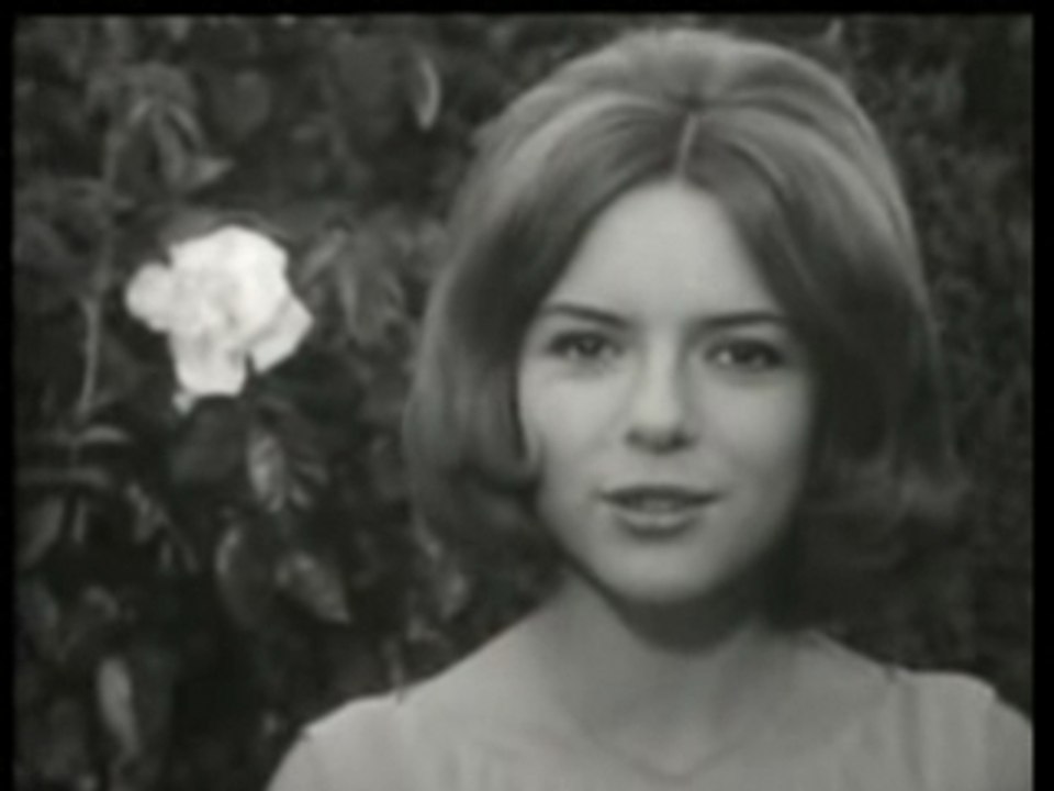 France Gall - Les rubans et la fleur