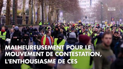 Miss France 2019 : des gilets jaunes repoussés de l'entrée avant la cérémonie