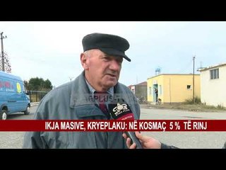 IKJA MASIVE, KRYEPLAKU: NË KOSMAÇ  5 %  TË RINJ