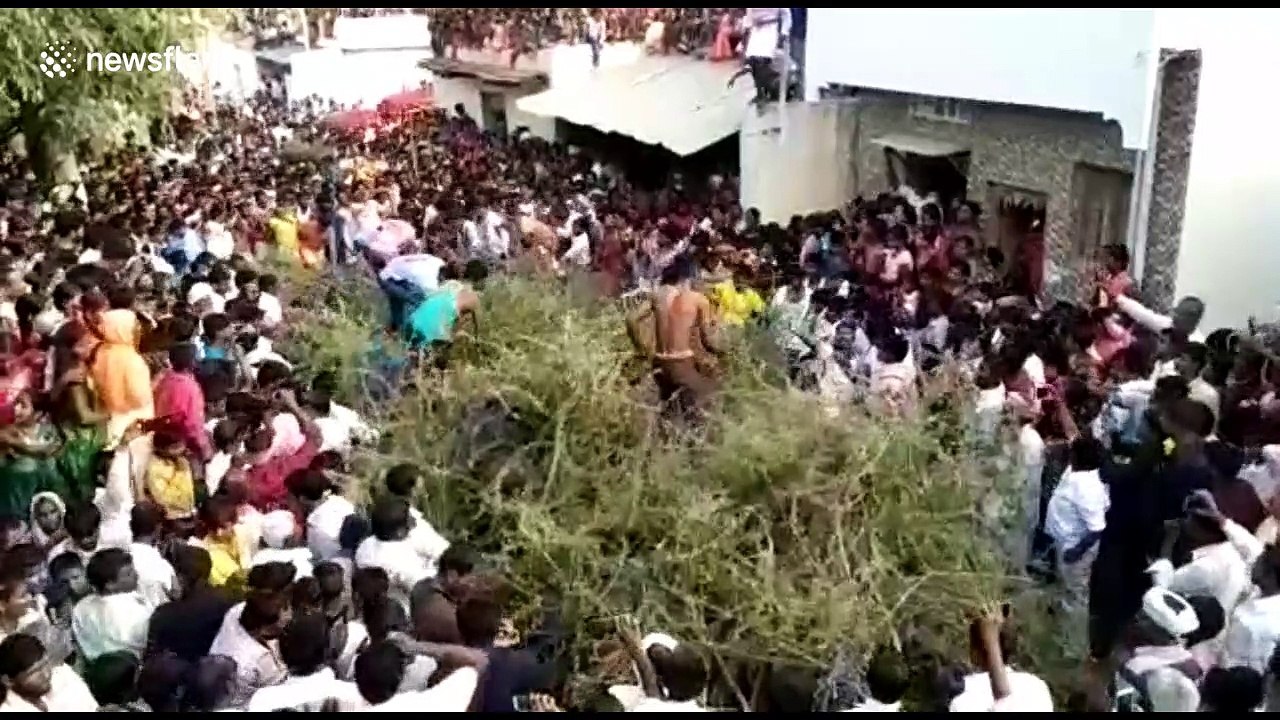 Indian villagers jump into huge pile of thorns from rooftops in bizarre ritual