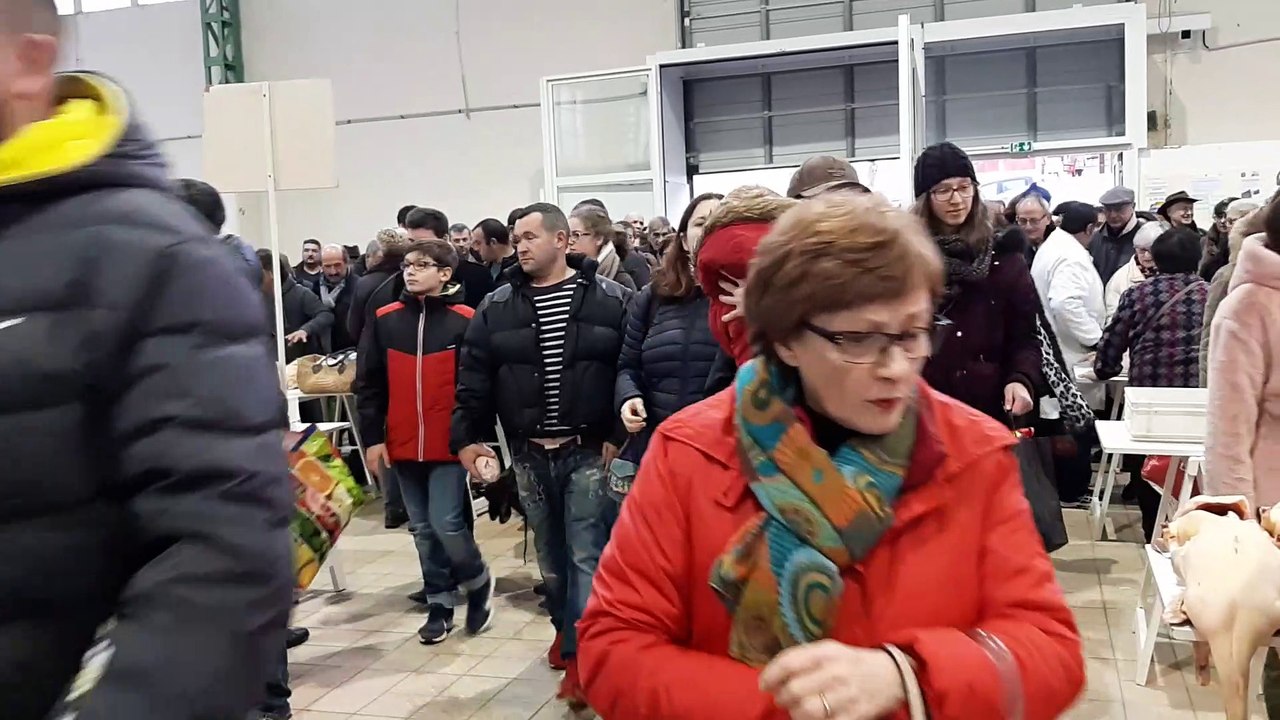 La ruée vers l'or au coup de sifflet du marché au gras de Gimont, dans le Gers