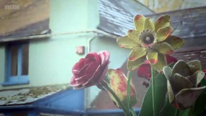 Homes Under the Hammer S20 - Ep63 - Part 01 HD Watch