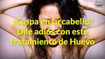 Cómo eliminar la caspa con tratamiento a base de huevo