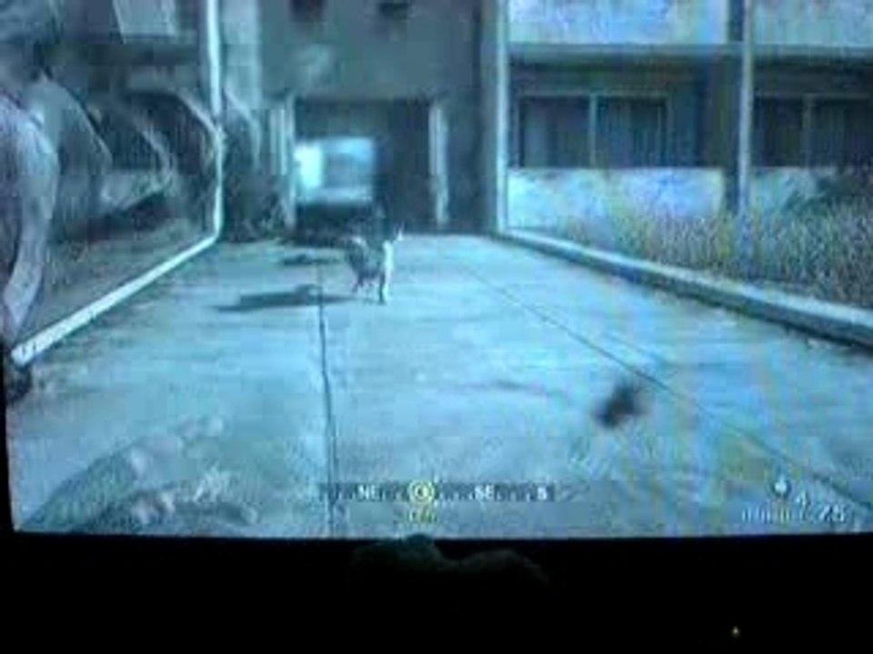 chiens fous call of duty 4