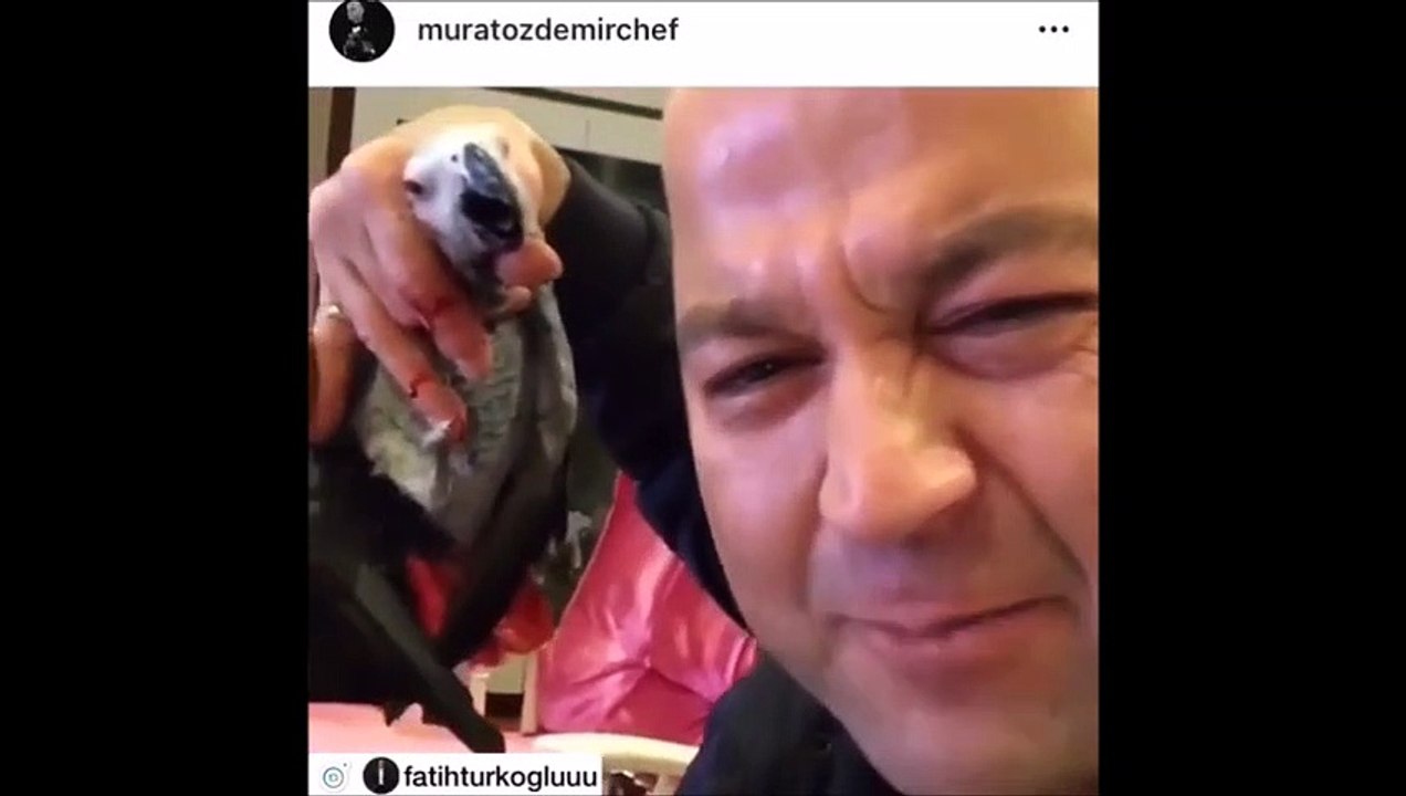 Eski MasterChef yarışmacısı Murat Özdemir... VAHŞET GÖRÜNTÜLERİ...