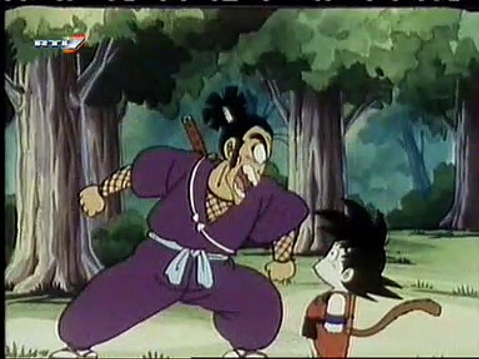 Dragon Ball 037
