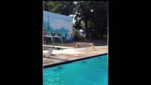 FUNNY SUMMERTIME FAILS!! | How to Jump in Water |