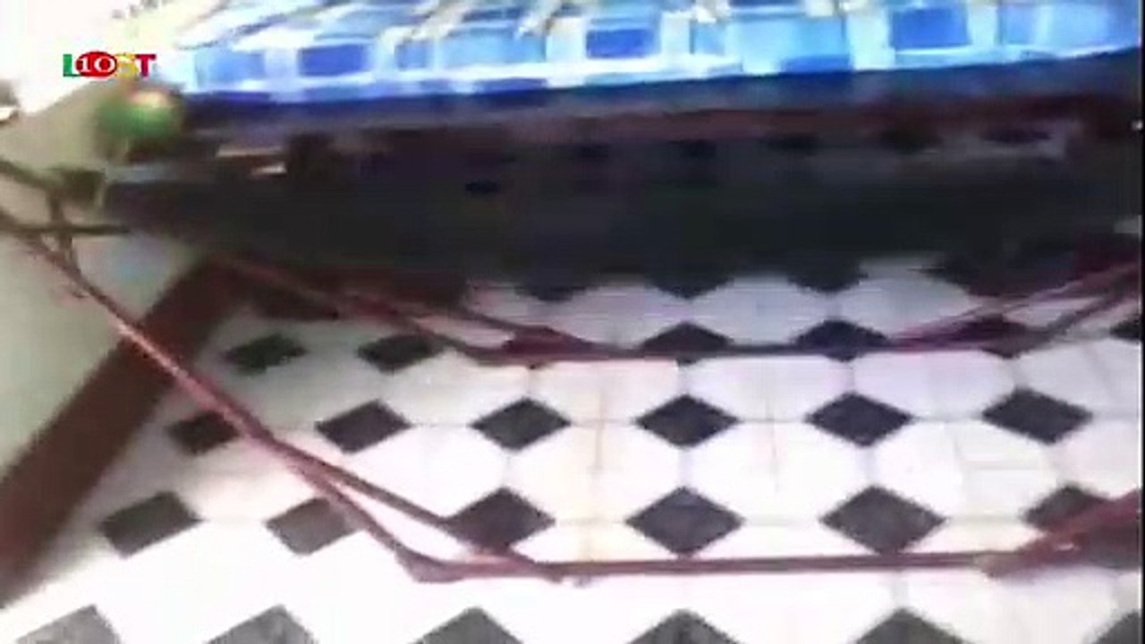 10 ghost evidence clips, real scary appear on the security camera record