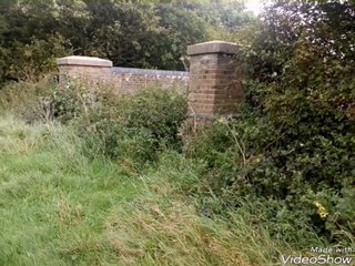 Very overgrown disused railway bridge on Whitehouse farm Chichester crossing Centurion Way