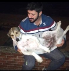 Kokoreççi, Sokak Köpeklerini Ninni Söyleyerek Uyutuyor