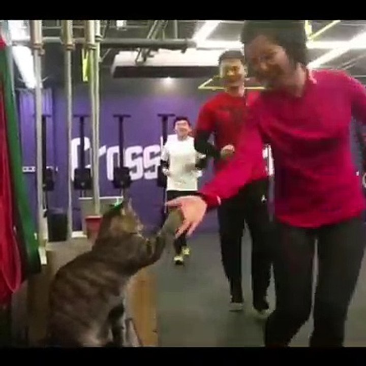 Spor yapalım sağlıklı olalım - Op.Dr. İrfan Tarhan
