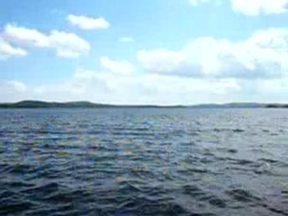 Image 101